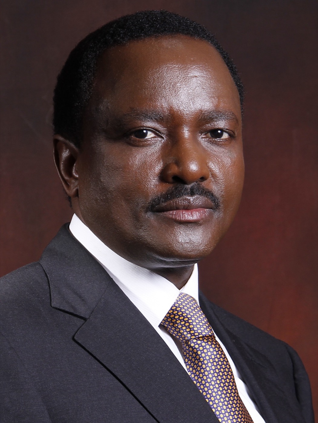 Kalonzo Musyoka addressing a gathering